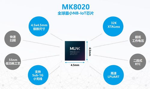 智联安科技王志军 5G NB IoT使能物联网垂直行业差异化