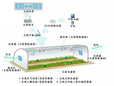 山东廷旺农业|现代农业设施|智慧农业|智能温室|日光温室|拱棚|农业物联网|温室太阳能主动蓄放热系统|食用菌工厂|育苗工厂|济南现代农业设施